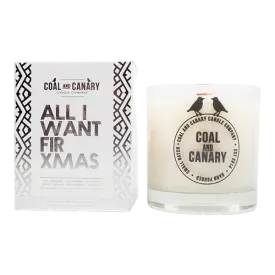 All I Want Fir Xmas