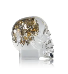 Berd Vay'e Lost in Time Limited Edition (Small)
