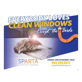 Except The Birds Design Suite