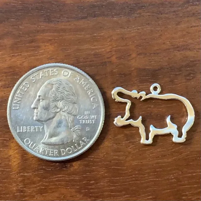 Hippopotamus Charm