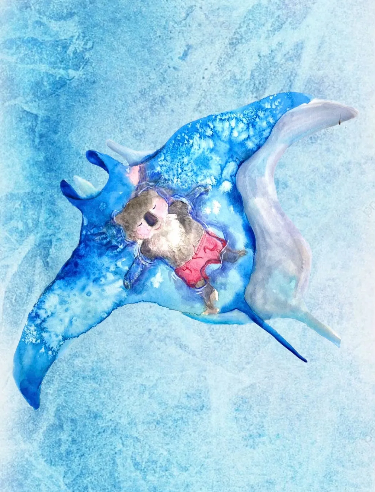 Manta Ray Koala Girls Long Sleeve Back Zip Swimmers