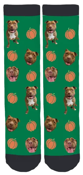Meaty the Pit Bull Crew Socks
