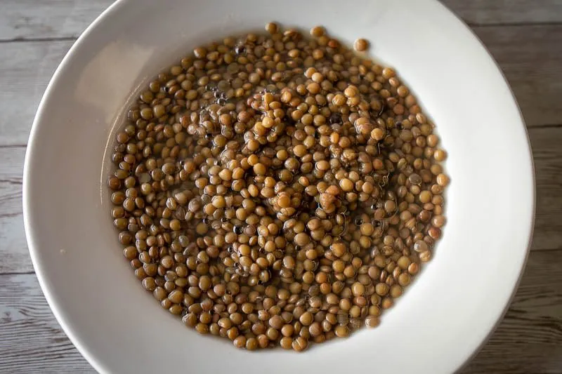 Puglia Lentil
